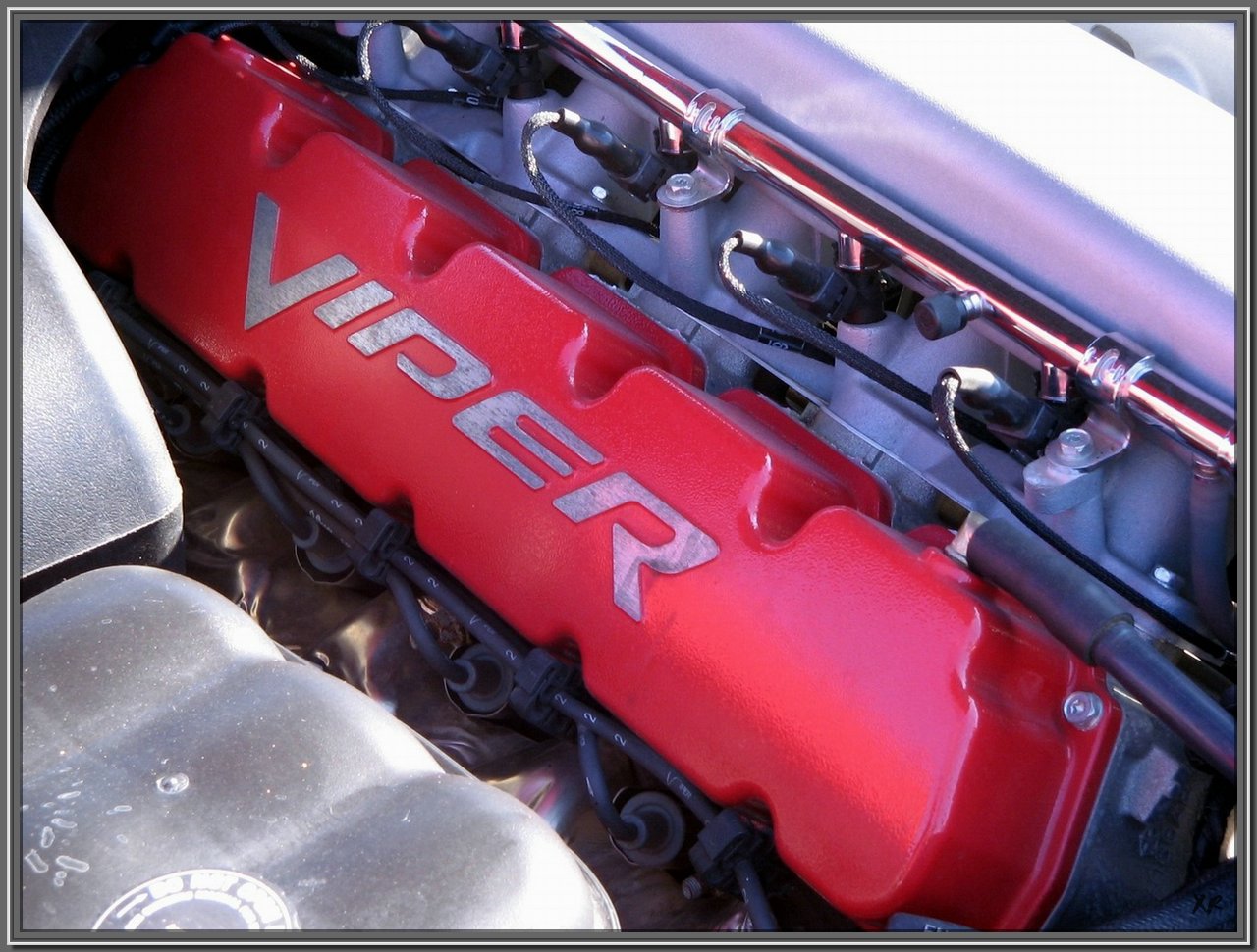 Viper-3.jpg